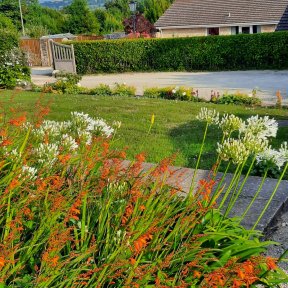 The Garden