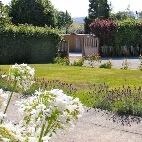 The Garden