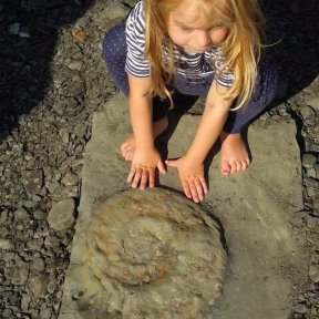 Fossil