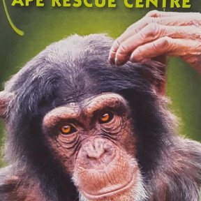 Monkey World